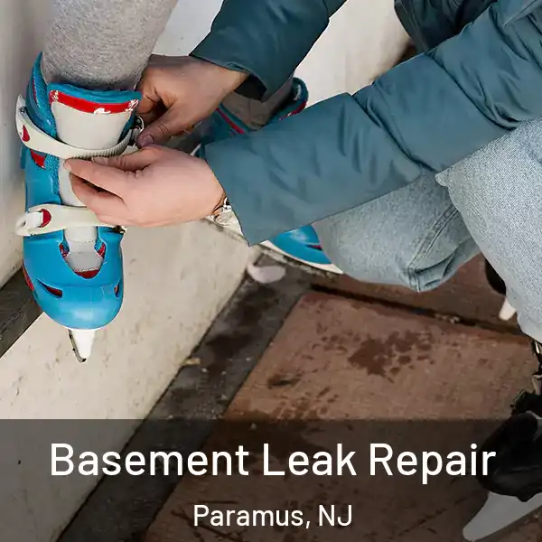  Basement Leak Repair Paramus, NJ