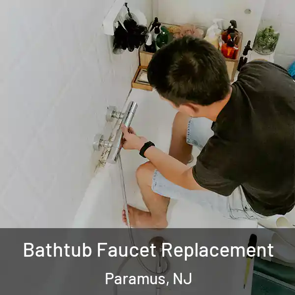  Bathtub Faucet Replacement Paramus, NJ