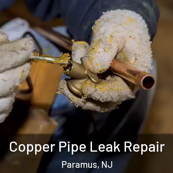  Copper Pipe Leak Repair Paramus, NJ