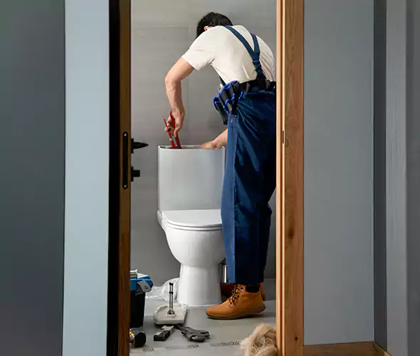 Professional Plumbers for Toilet Bowl Replacement in Paramus, NJ: Schedule Affordable Toilet Replacement Services With Us