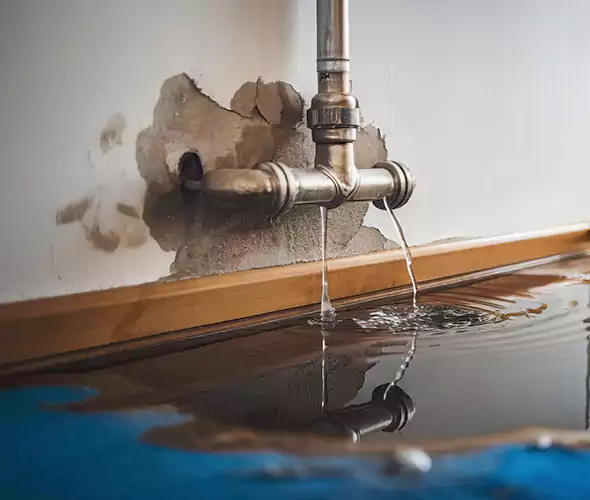 Professional Water Damage Restoration Experts in Paramus, NJ — Fast, Reliable & Certified
