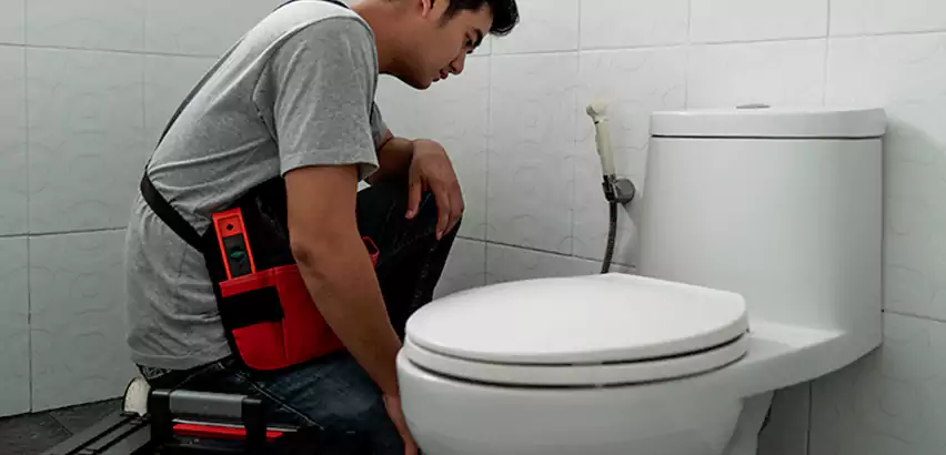 Toilet Repair in Paramus