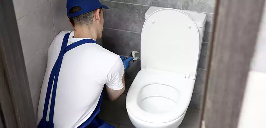 Toilet Lid Replacement in Paramus