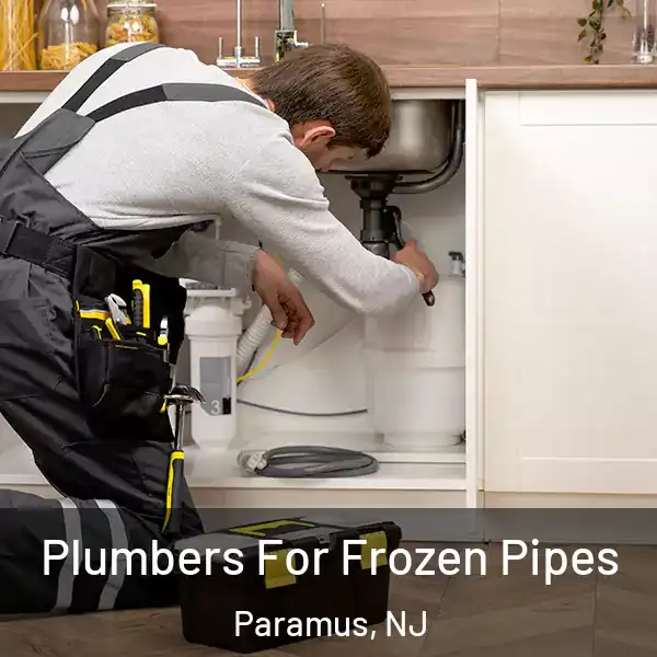  Plumbers For Frozen Pipes Paramus, NJ
