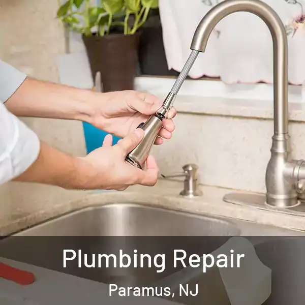  Plumbing Repair Paramus, NJ