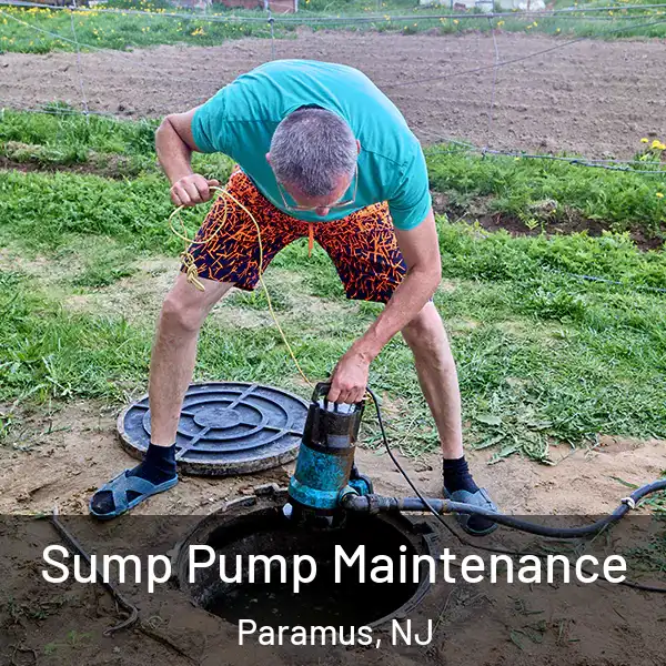  Sump Pump Maintenance Paramus, NJ