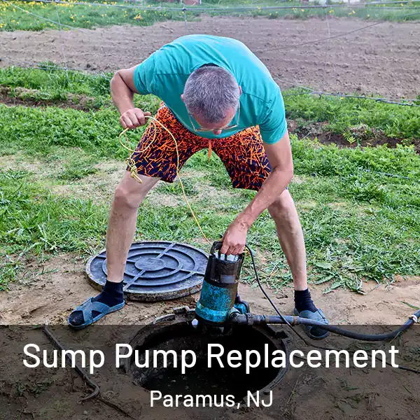  Sump Pump Replacement Paramus, NJ