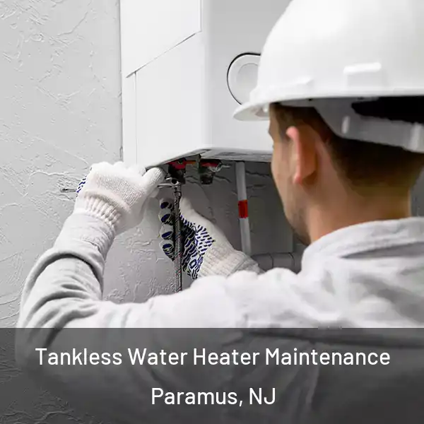  Tankless Water Heater Maintenance Paramus, NJ