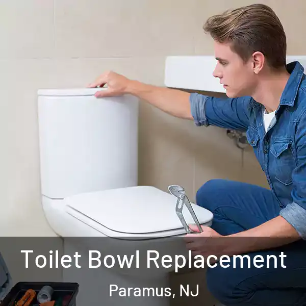  Toilet Bowl Replacement Paramus, NJ