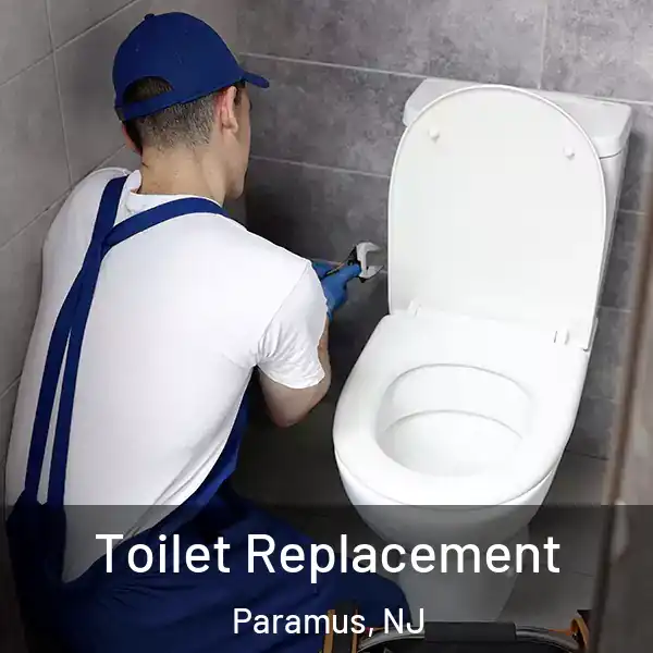  Toilet Replacement Paramus, NJ