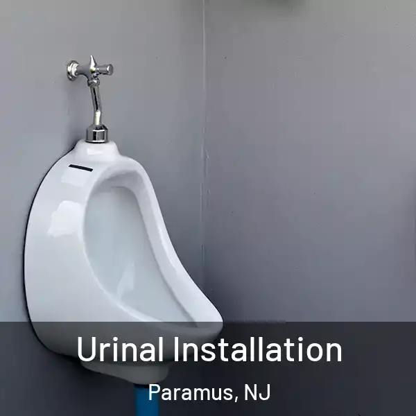  Urinal Installation Paramus, NJ